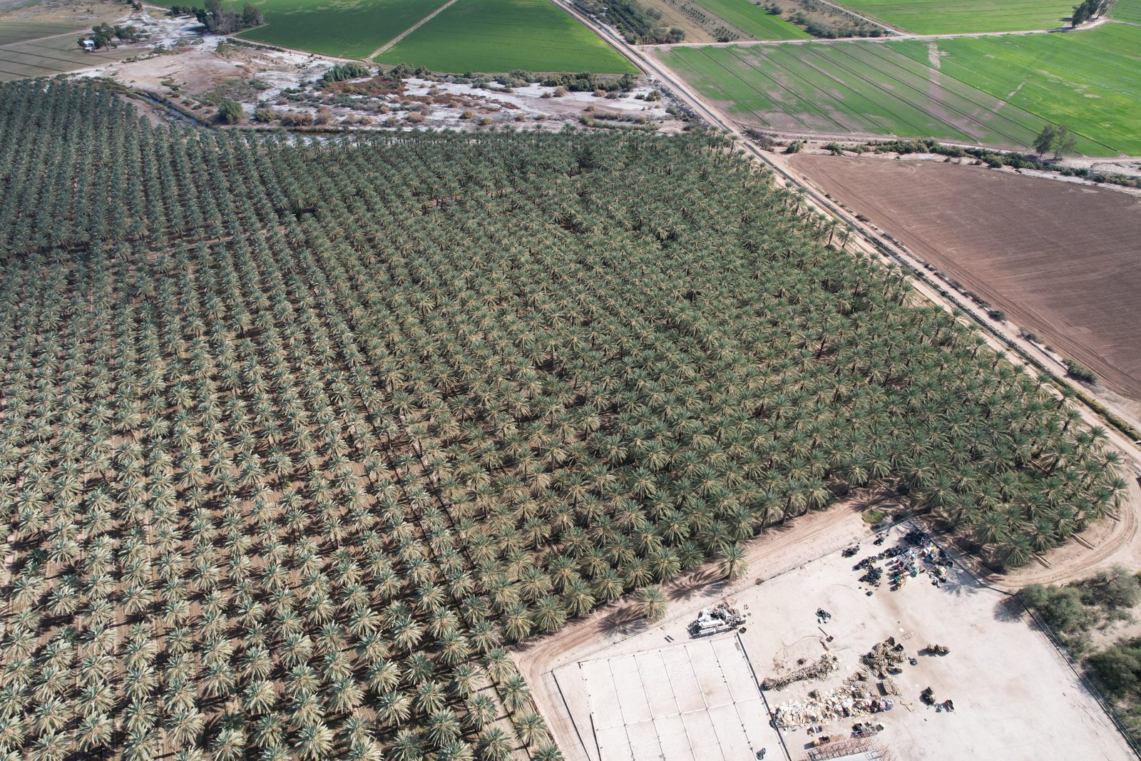 FIG. 02 - THE GROVE FROM ABOVE