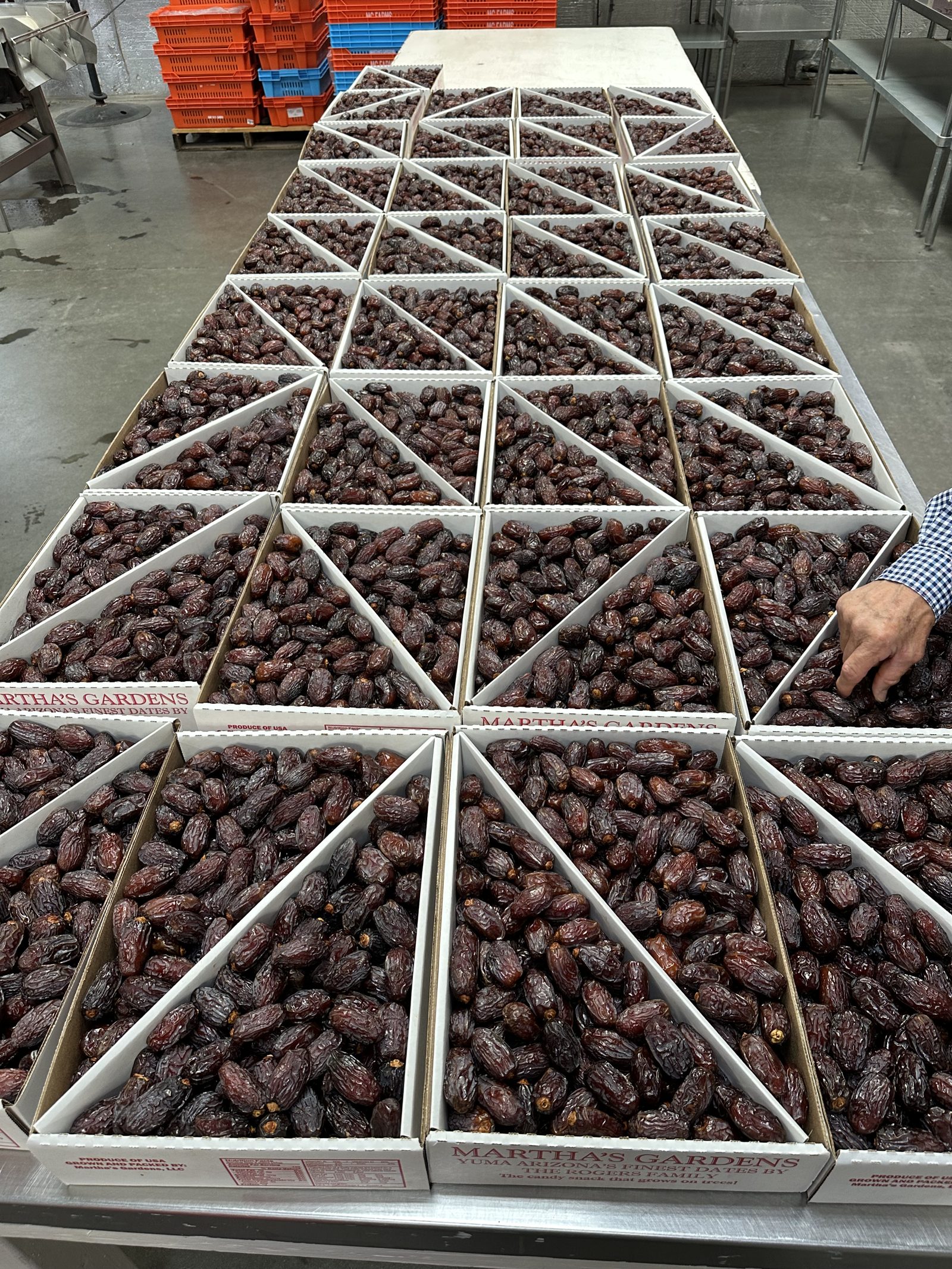 FIG. 05 - POST-HARVEST: GRADING & DRYING